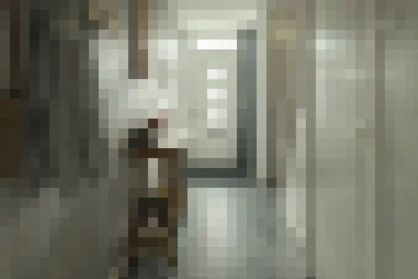 Pelmolensstraat 22 Joure thumbnail 21