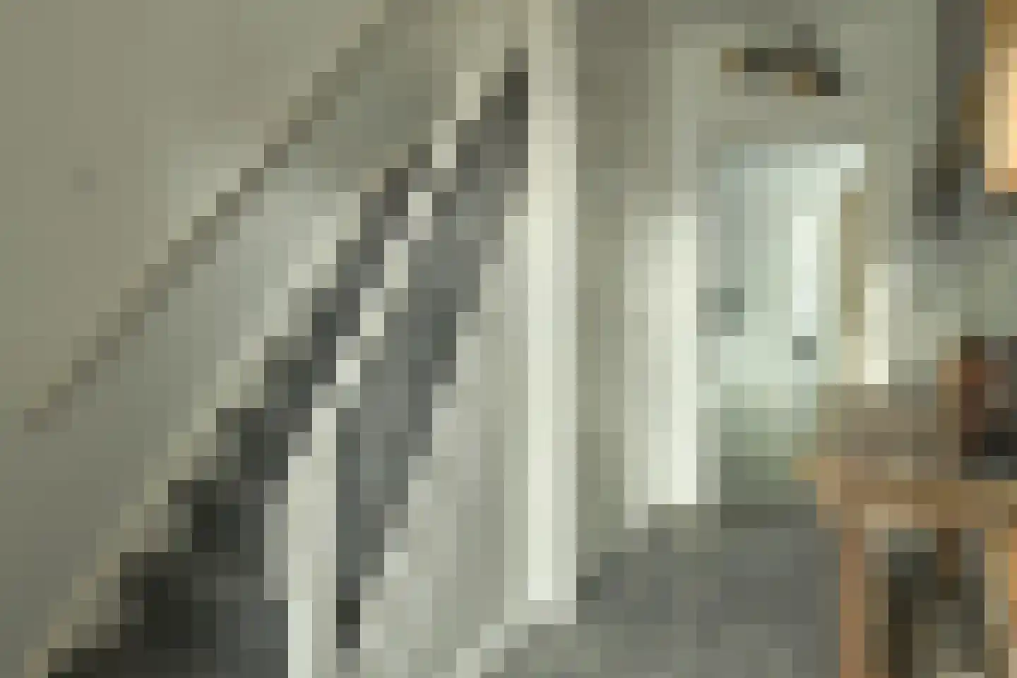 Pelmolensstraat 22 Joure thumbnail 23
