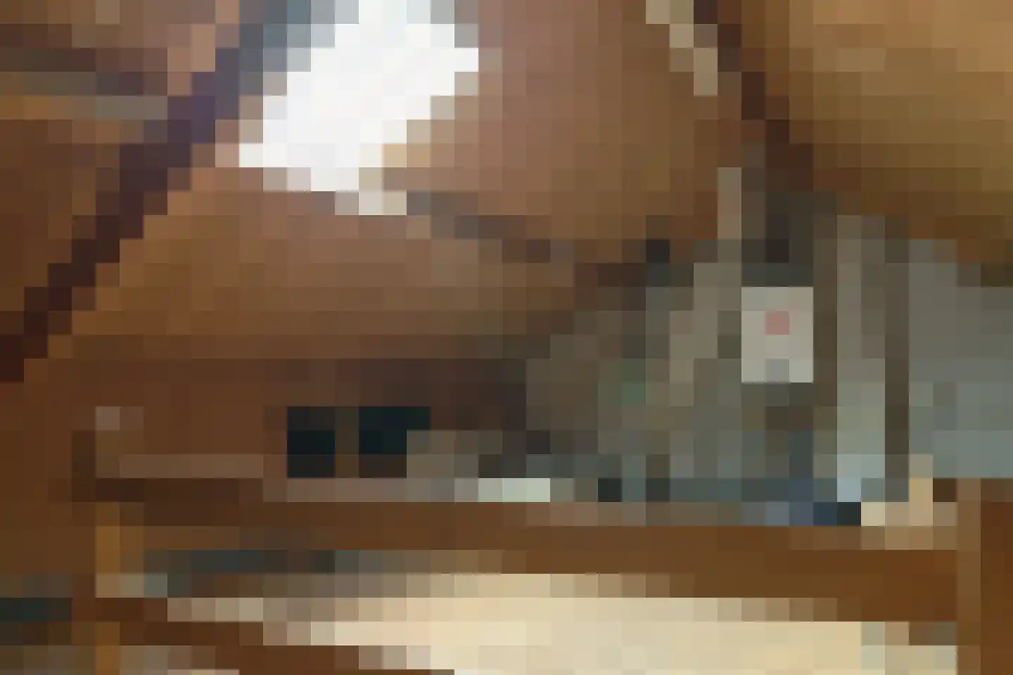 Pelmolensstraat 22 Joure thumbnail 31