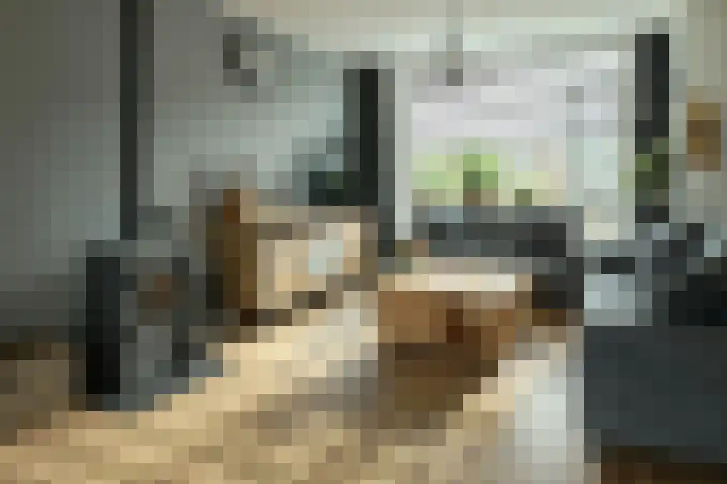 Pelmolensstraat 22 Joure thumbnail 4