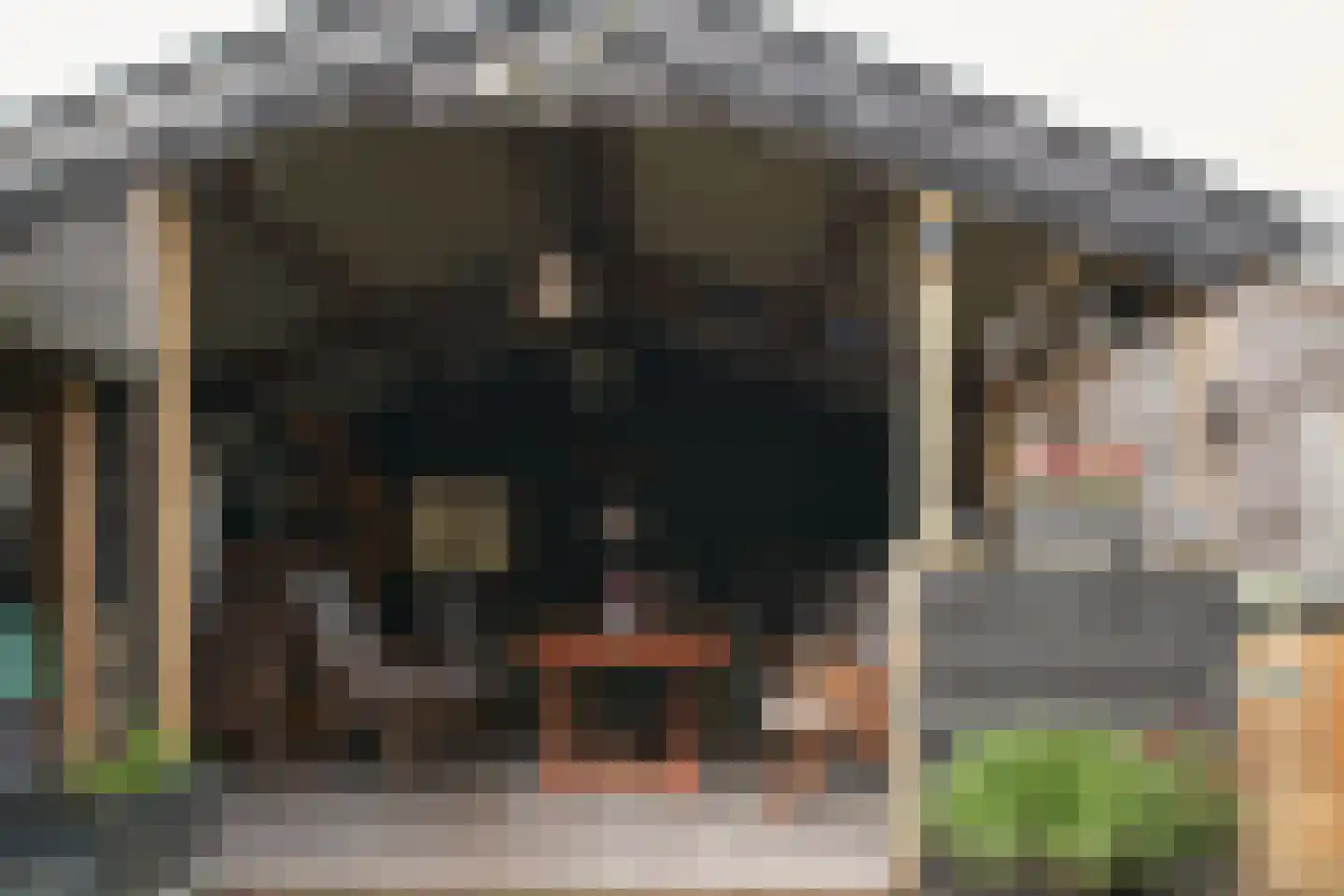 Pelmolensstraat 22 Joure thumbnail 8