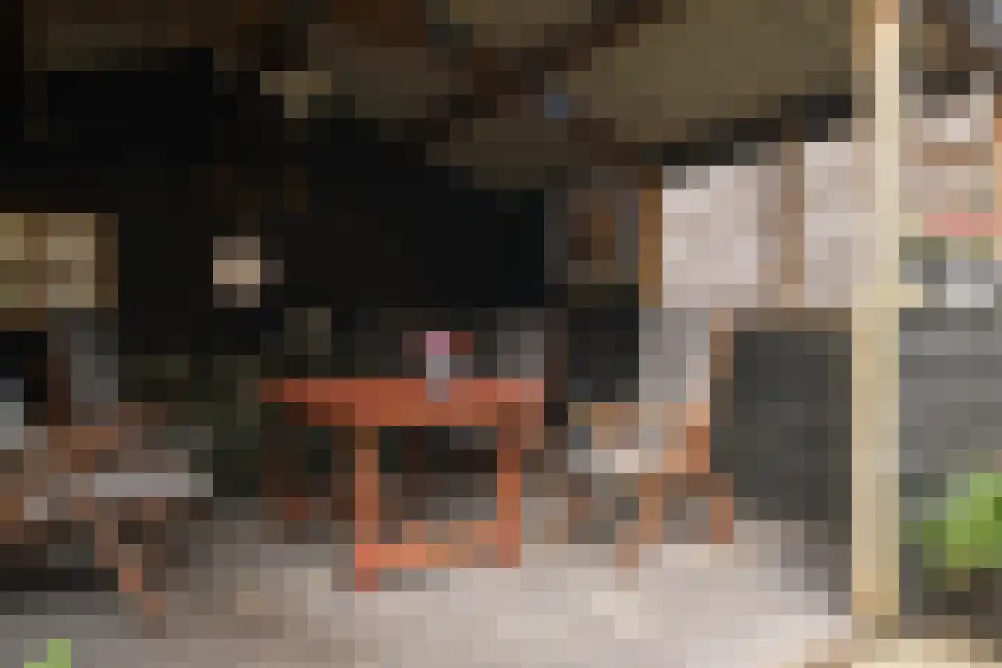 Pelmolensstraat 22 Joure thumbnail 9
