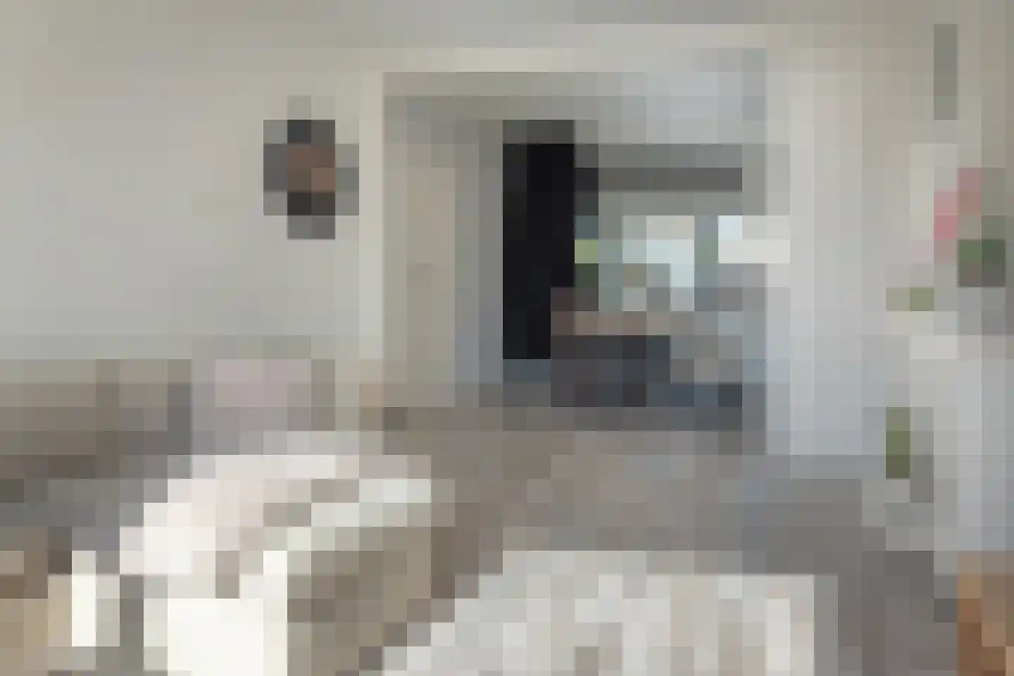 Pelmolensstraat 32 Joure thumbnail 10