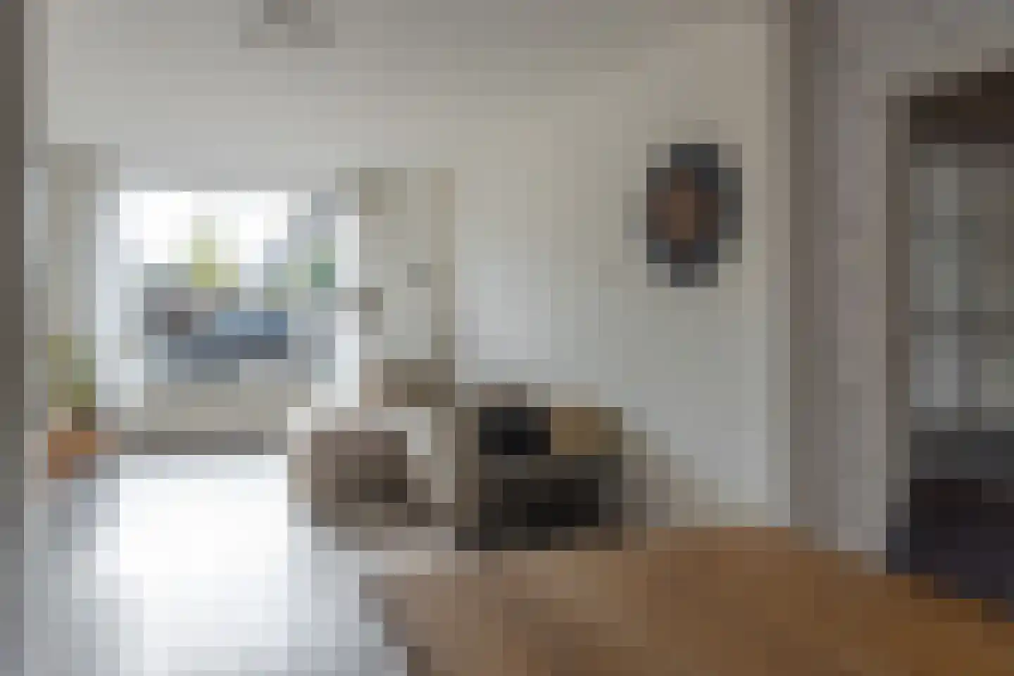 Pelmolensstraat 32 Joure thumbnail 12