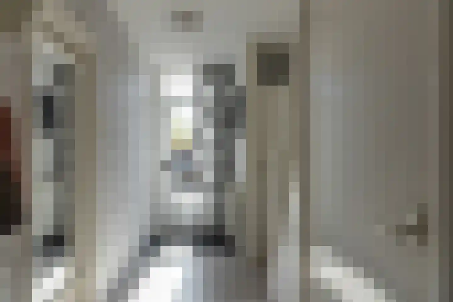 Pelmolensstraat 32 Joure thumbnail 15
