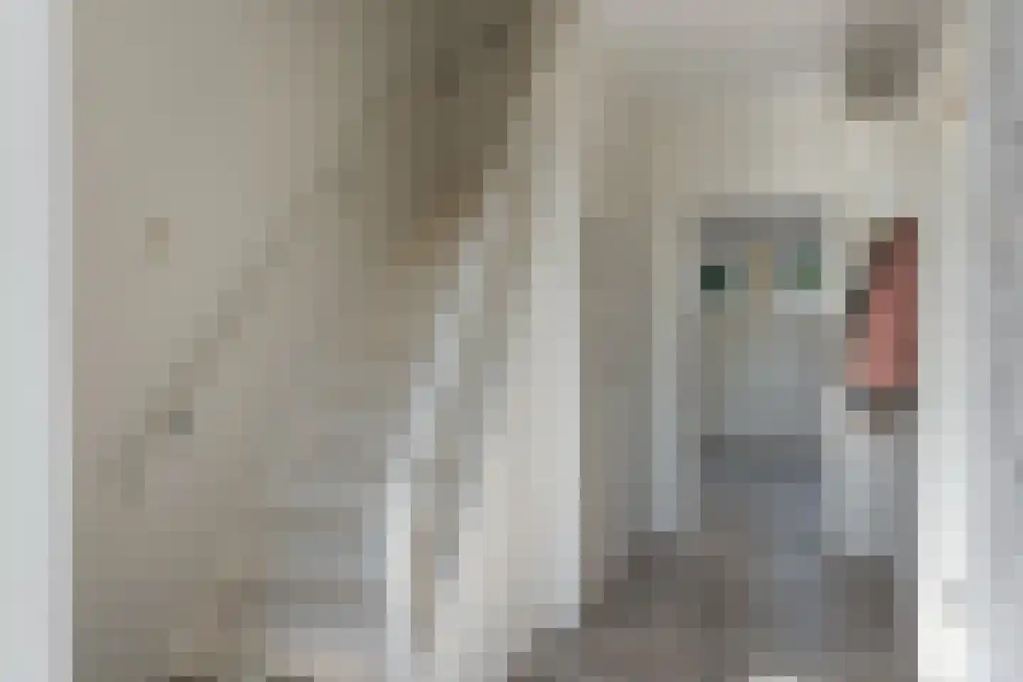 Pelmolensstraat 32 Joure thumbnail 17
