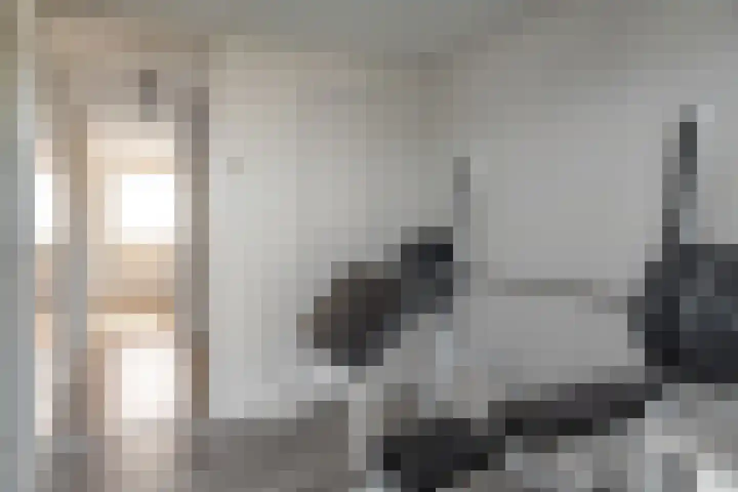 Pelmolensstraat 32 Joure thumbnail 21