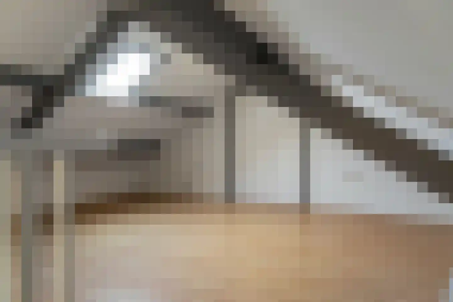 Pelmolensstraat 32 Joure thumbnail 27