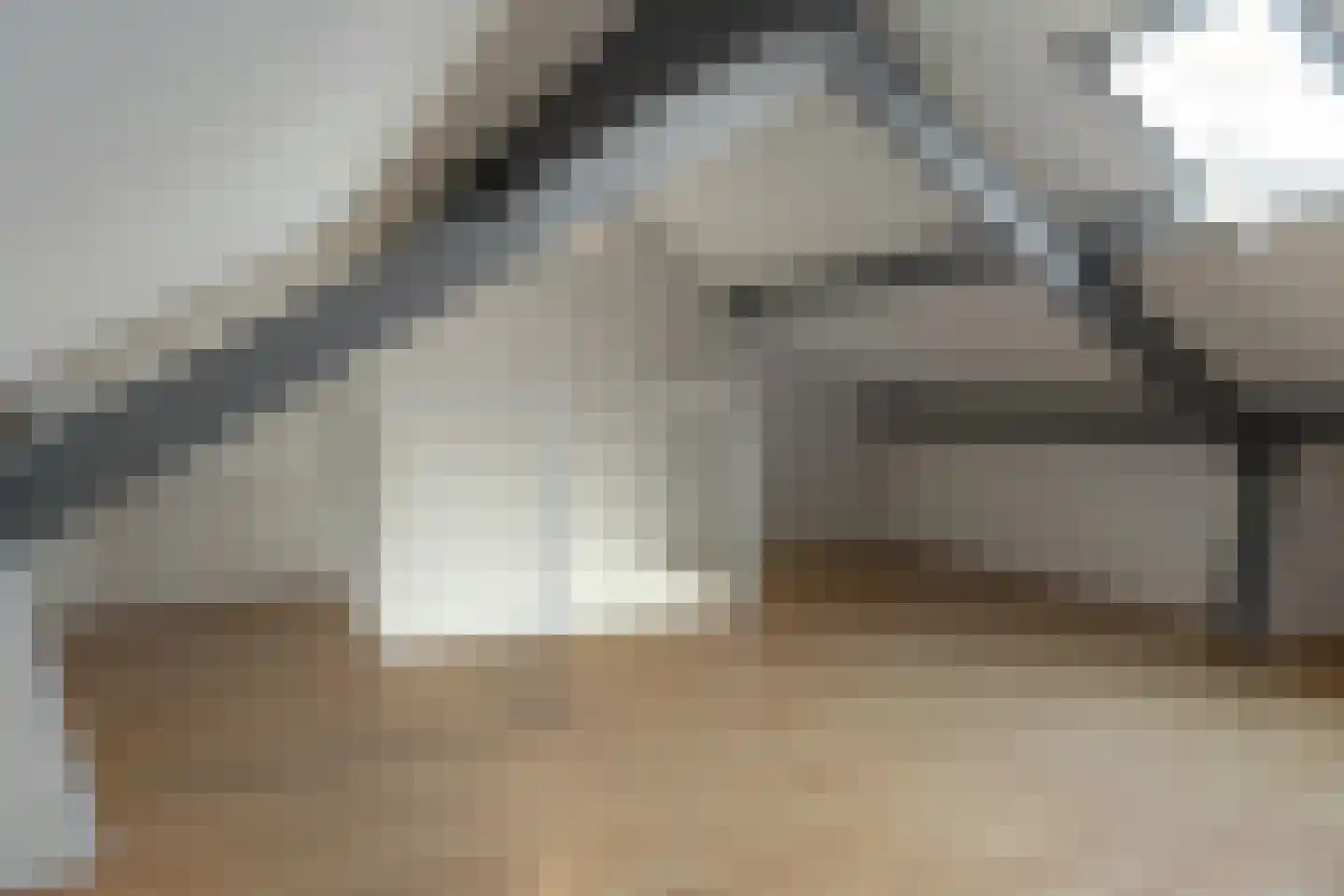 Pelmolensstraat 32 Joure thumbnail 28