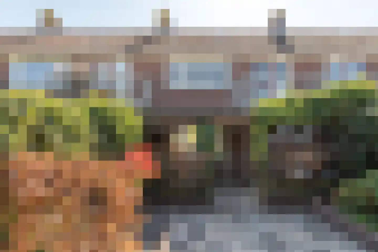 Pelmolensstraat 32 Joure thumbnail 29