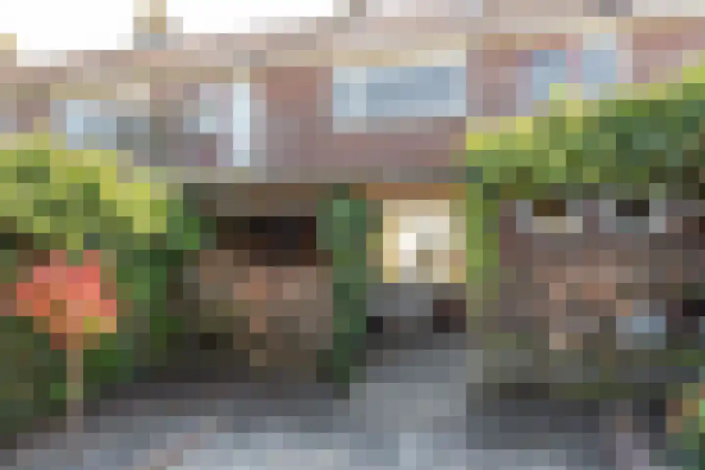 Pelmolensstraat 32 Joure thumbnail 30