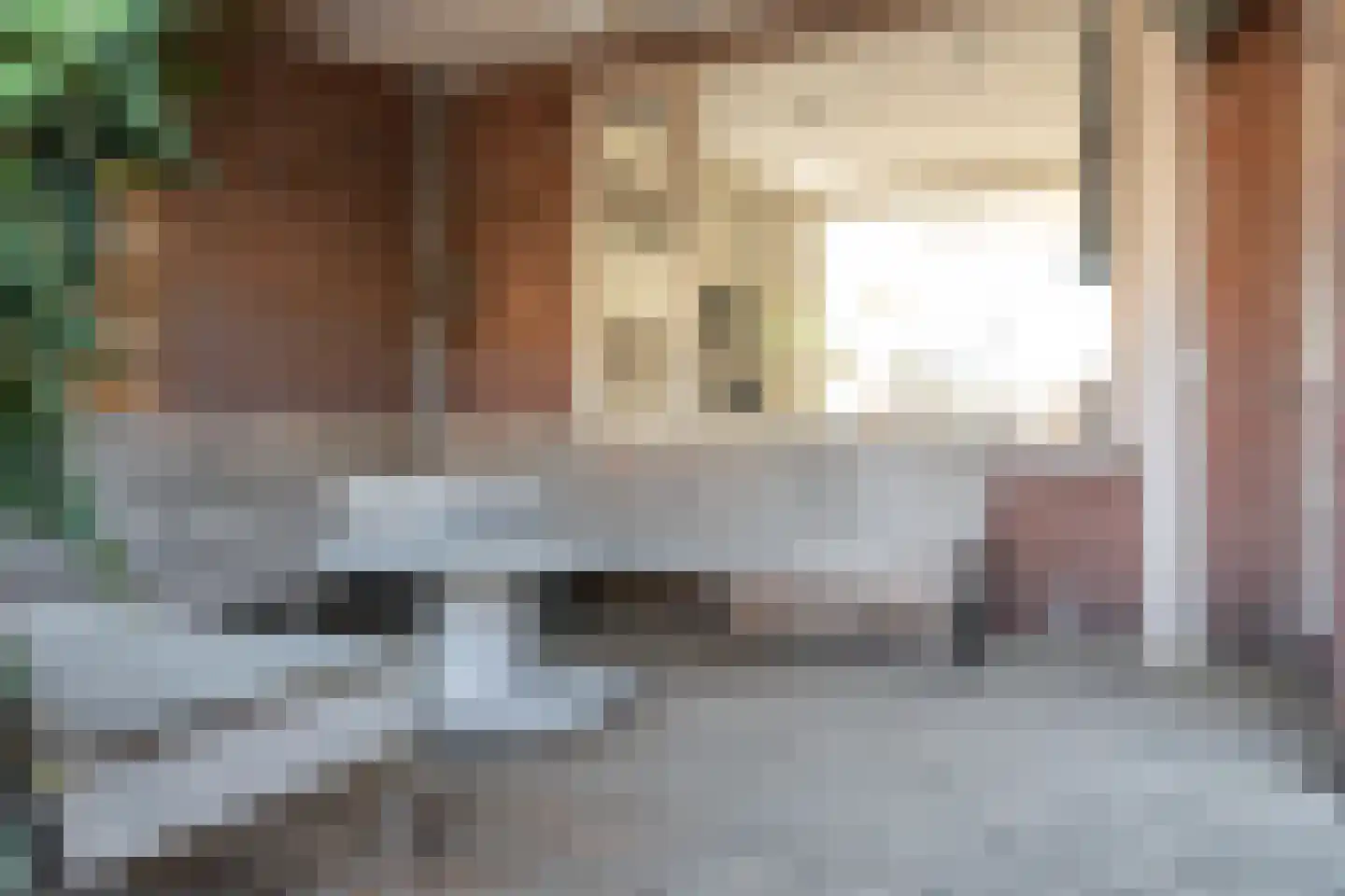 Pelmolensstraat 32 Joure thumbnail 31