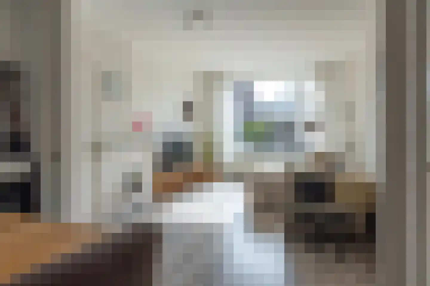 Pelmolensstraat 32 Joure thumbnail 7