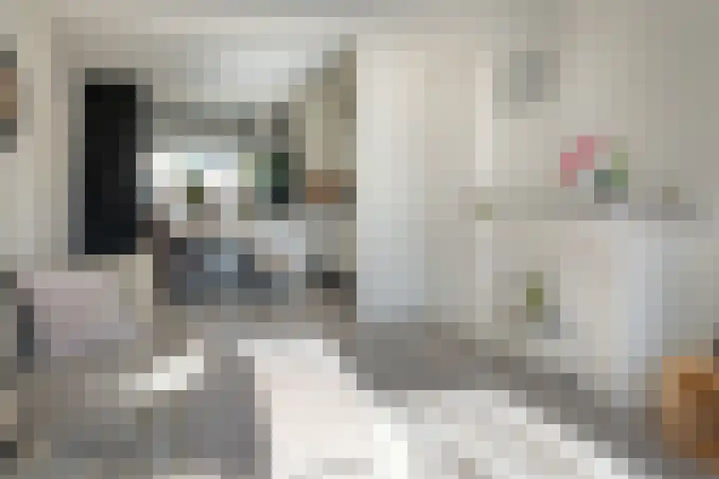 Pelmolensstraat 32 Joure thumbnail 9