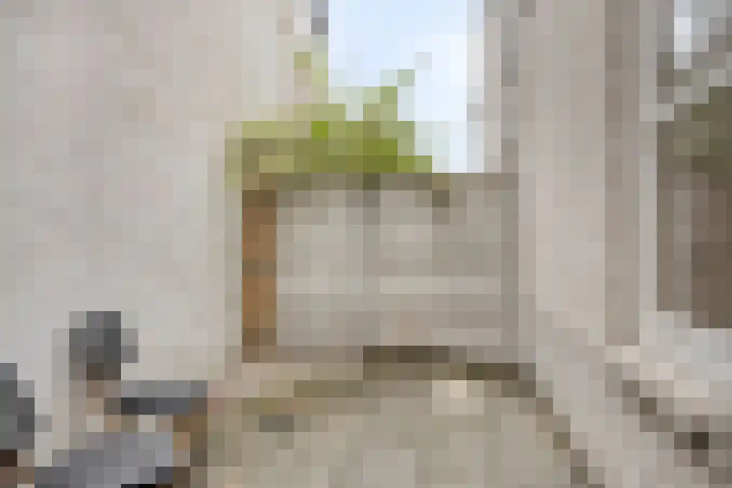 Pelmolenstraat 1 Breda thumbnail 12