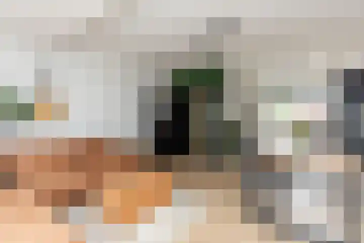 Pelmolenstraat 45 Rotterdam thumbnail 5