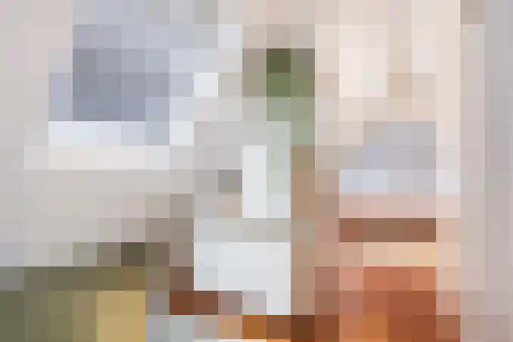 Pelmolenweg 14 Utrecht thumbnail 18