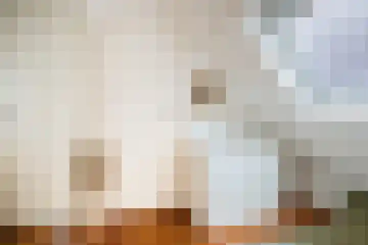 Pelmolenweg 14 Utrecht thumbnail 19