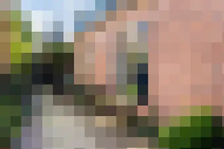 Pelmolenweg 14 Utrecht thumbnail 31