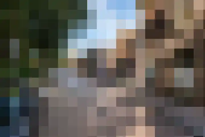Pelmolenweg 14 Utrecht thumbnail 33