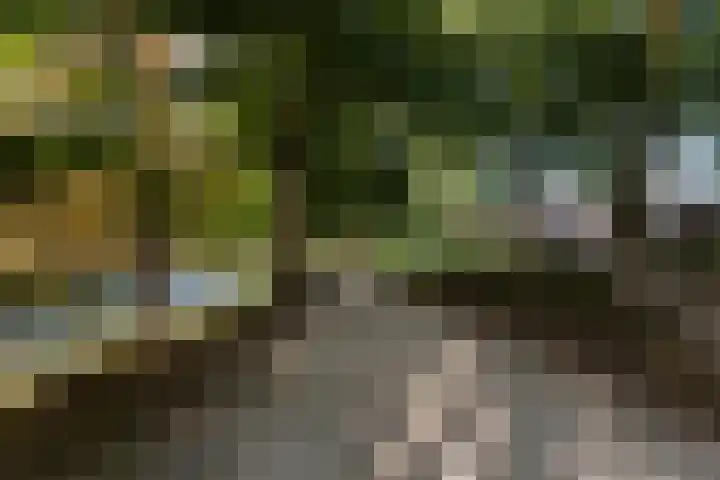 Pelmolenweg 14 Utrecht thumbnail 34