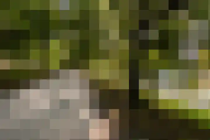 Pelmolenweg 14 Utrecht thumbnail 35