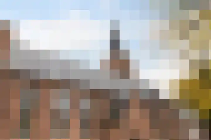 Pelmolenweg 14 Utrecht thumbnail 41