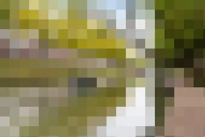 Pelmolenweg 14 Utrecht thumbnail 42