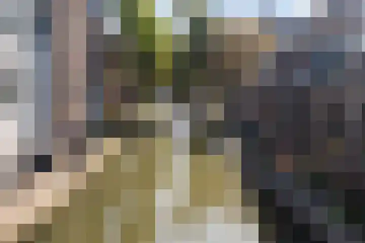 Pelmolenweg 14 Utrecht thumbnail 43