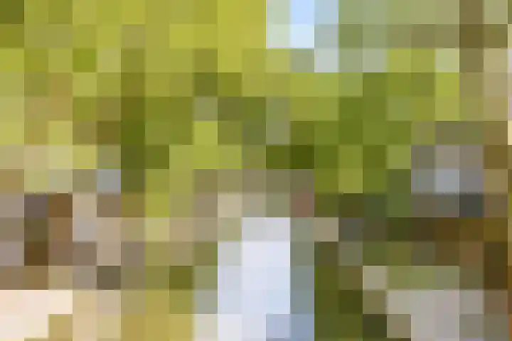 Pelmolenweg 14 Utrecht thumbnail 44