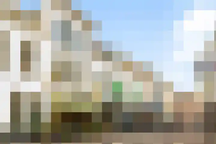 Pelmolenweg 14 Utrecht thumbnail 45