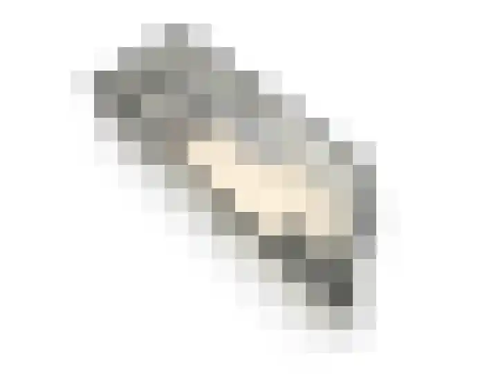 Pelmolenweg 14 Utrecht thumbnail 48