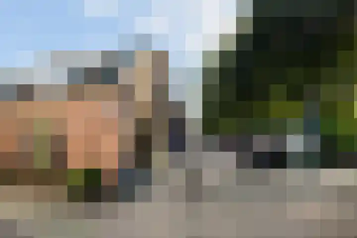Pelmolenweg 14 Utrecht thumbnail 7