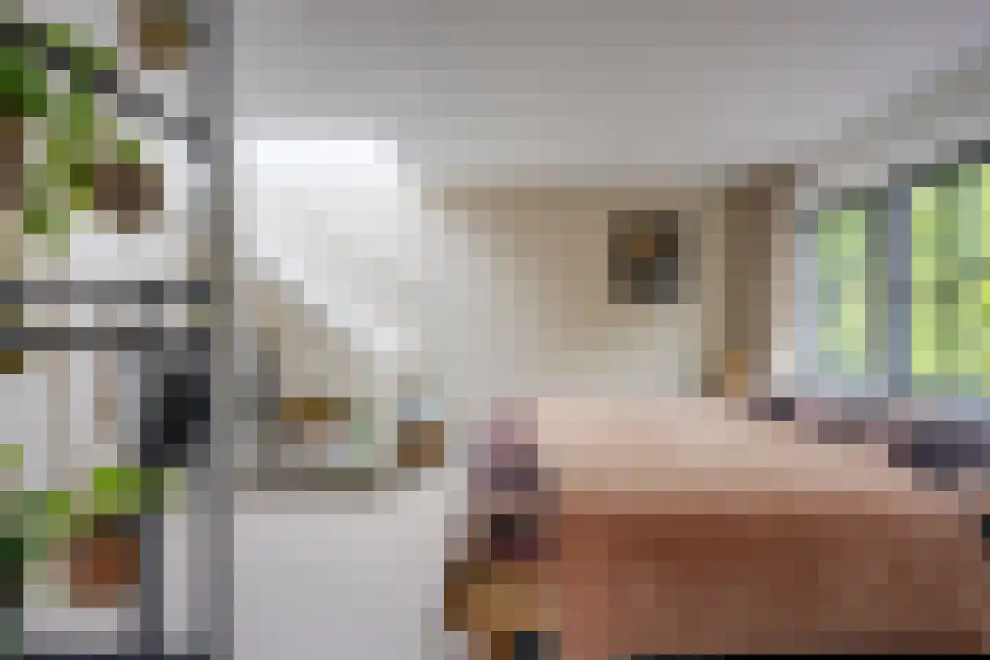 Pelmolenweg 17 Utrecht thumbnail 24