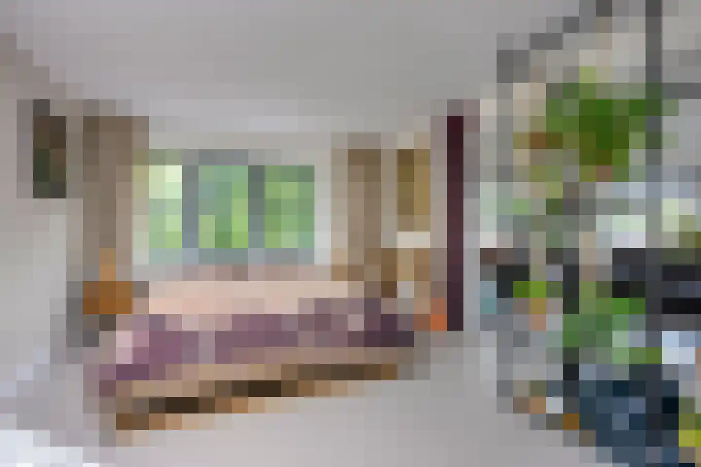 Pelmolenweg 17 Utrecht thumbnail 25
