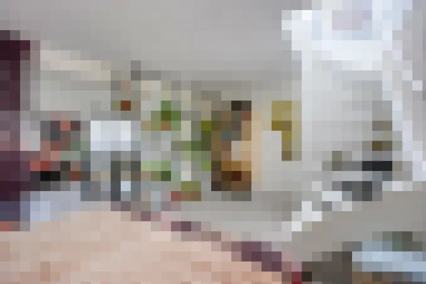Pelmolenweg 17 Utrecht thumbnail 26