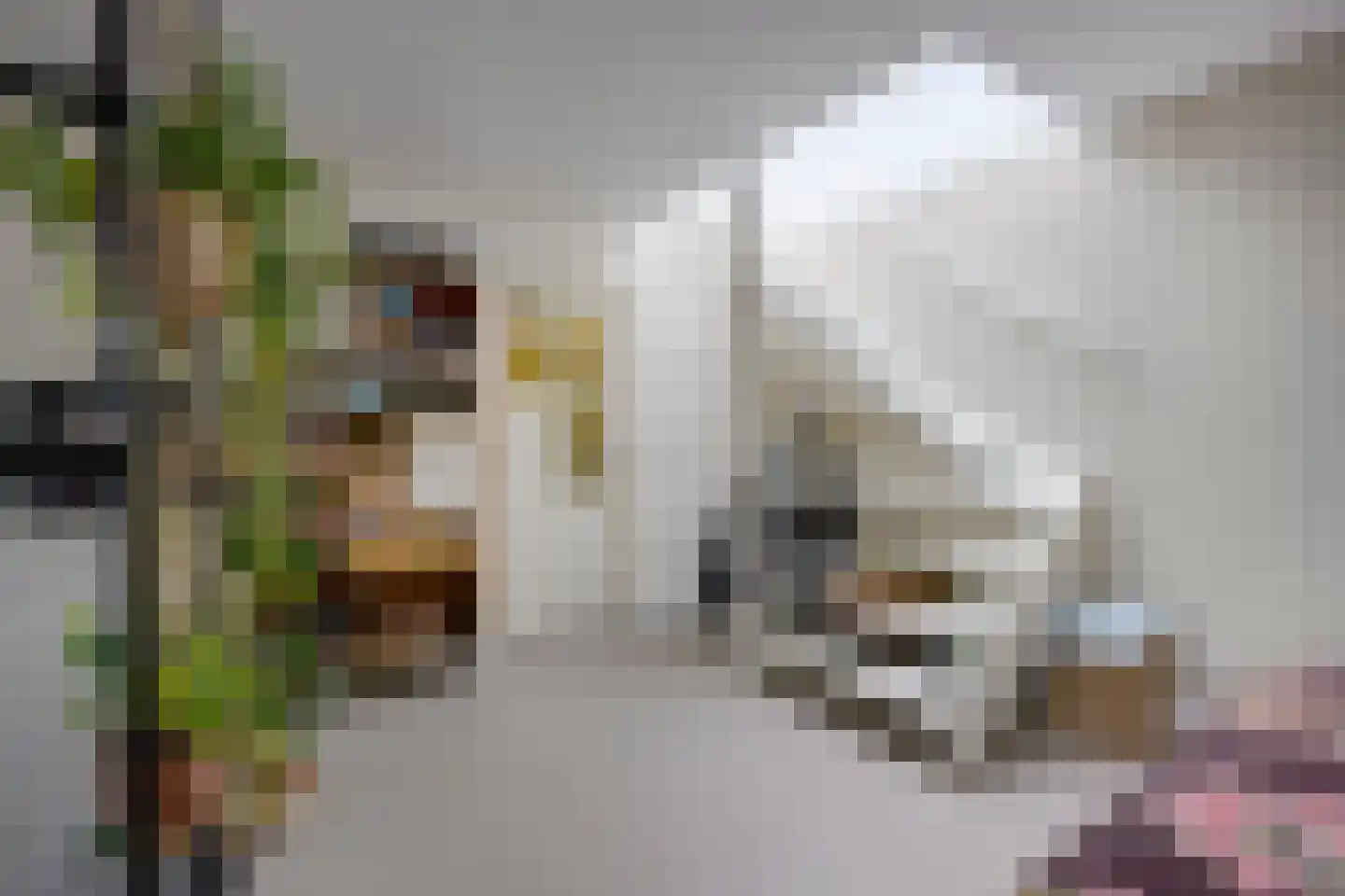 Pelmolenweg 17 Utrecht thumbnail 27