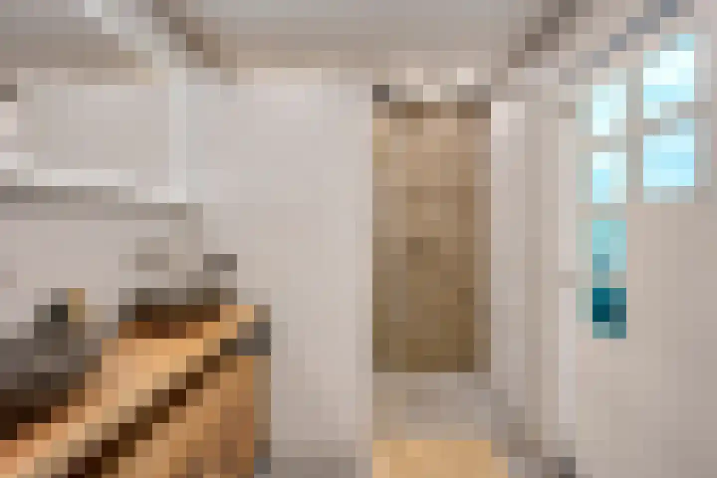 Pelmolenweg 17 Utrecht thumbnail 30