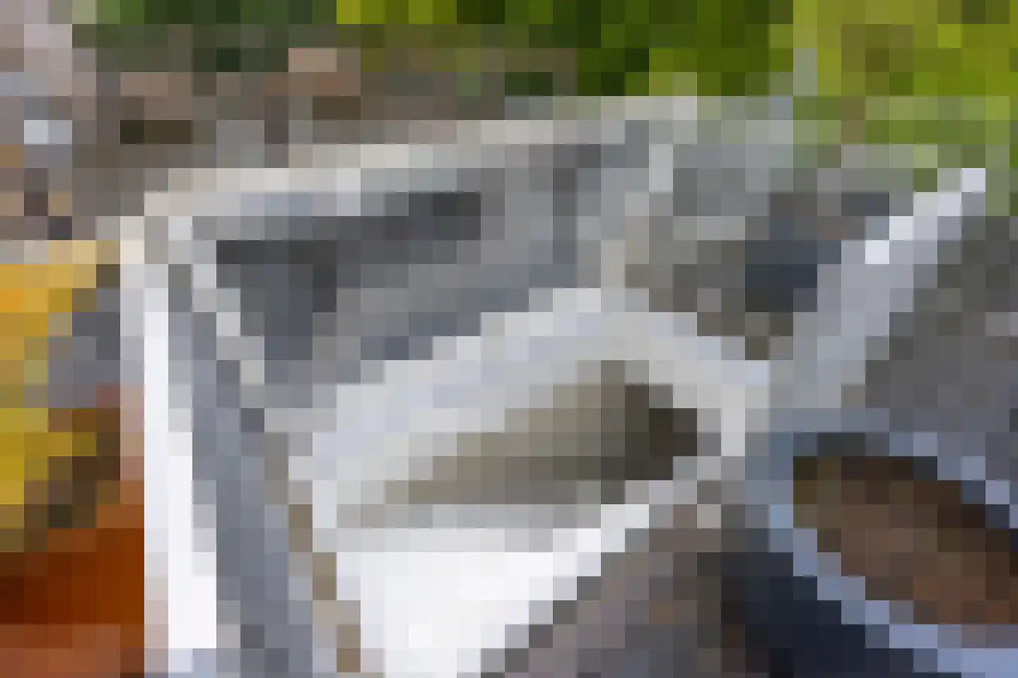 Pelmolenweg 17 Utrecht thumbnail 33
