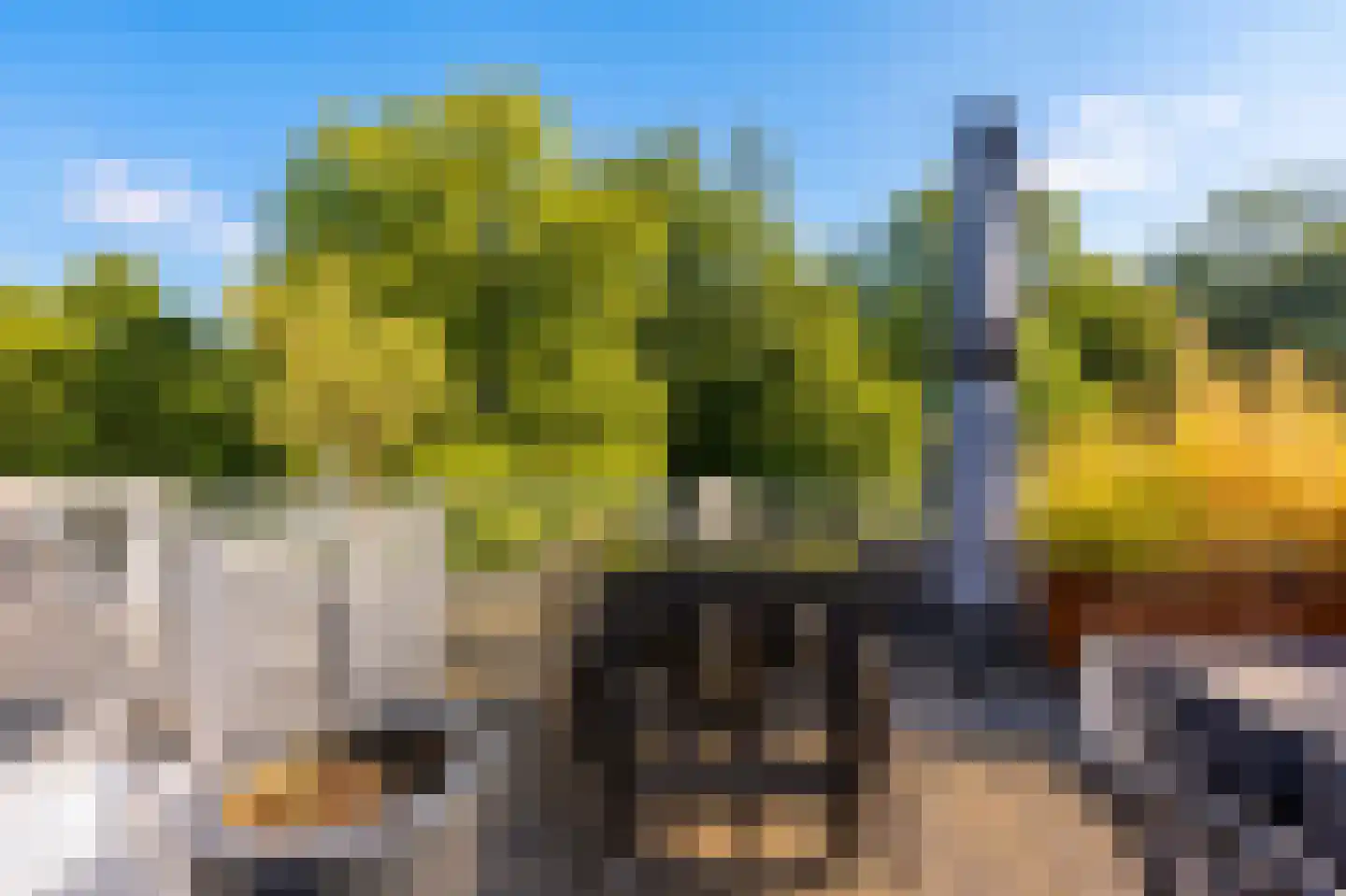 Pelmolenweg 17 Utrecht thumbnail 37