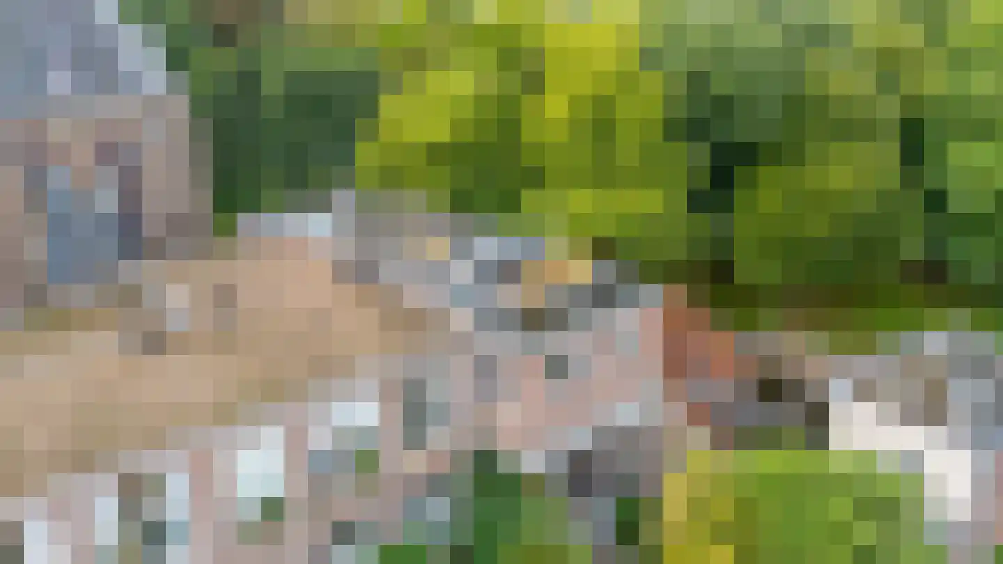 Pelmolenweg 17 Utrecht thumbnail 47