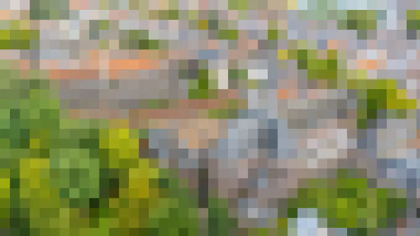 Pelmolenweg 17 Utrecht thumbnail 49