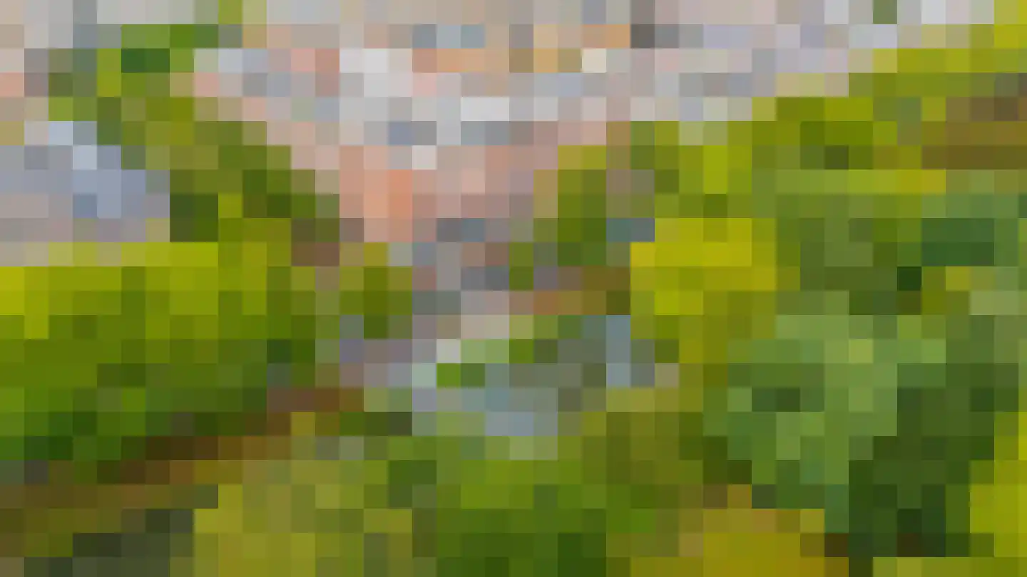 Pelmolenweg 17 Utrecht thumbnail 51