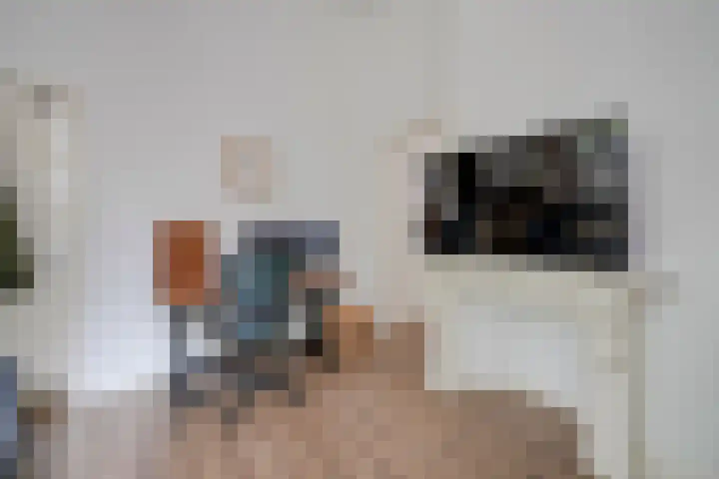 Pelmolenweg 4 Utrecht thumbnail 11