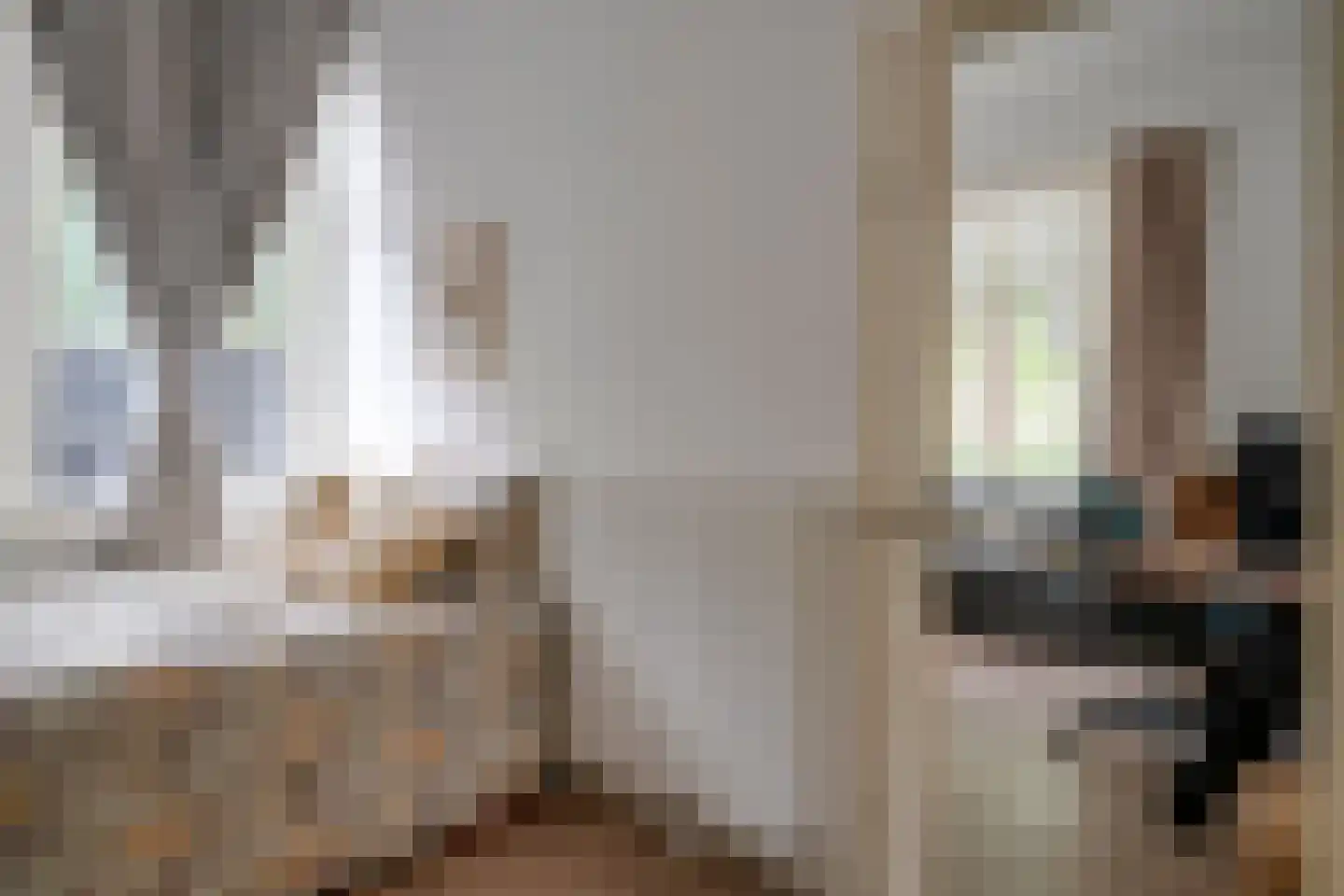 Pelmolenweg 4 Utrecht thumbnail 14
