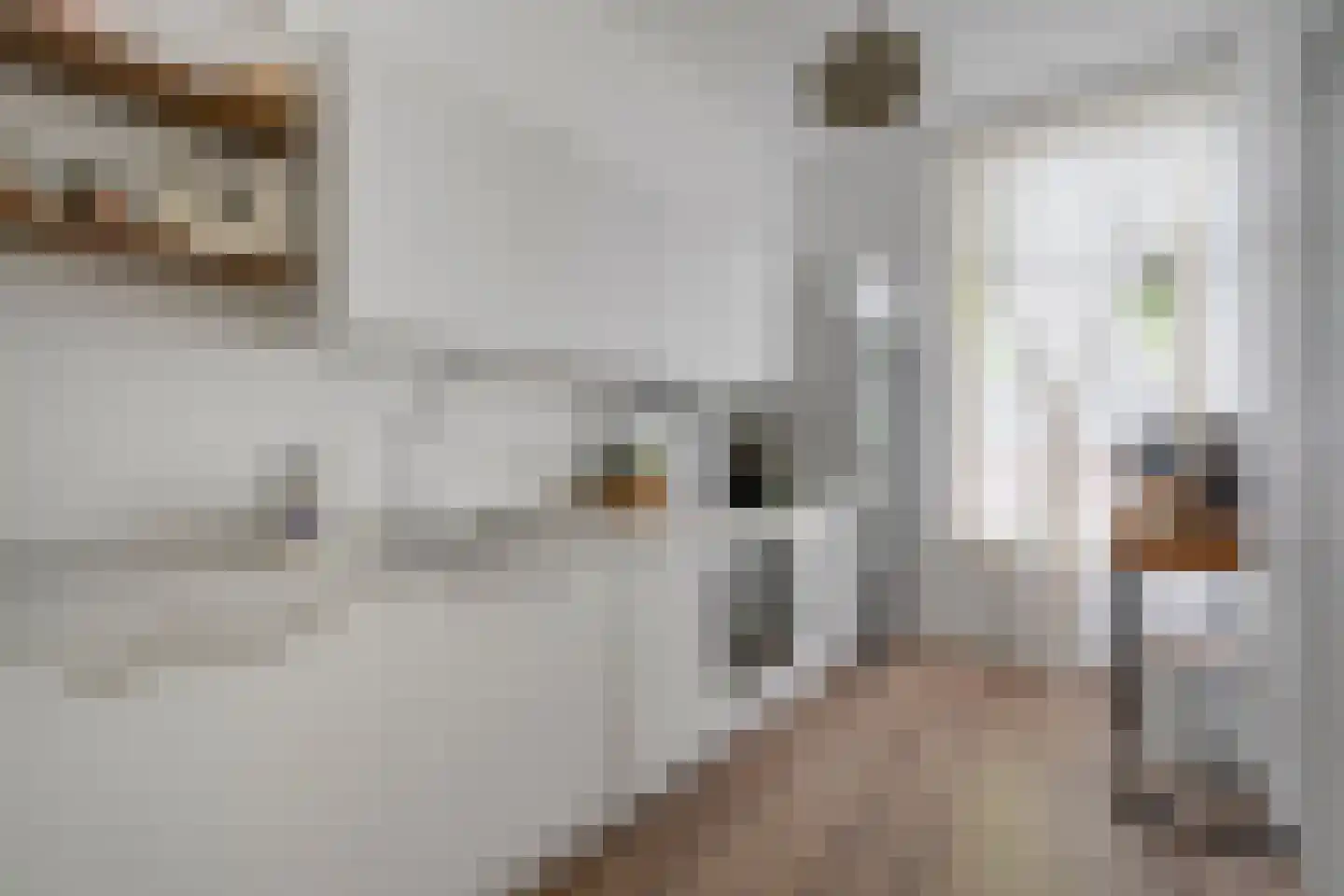 Pelmolenweg 4 Utrecht thumbnail 19