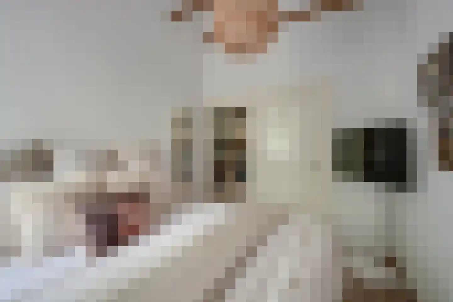 Pelmolenweg 4 Utrecht thumbnail 30