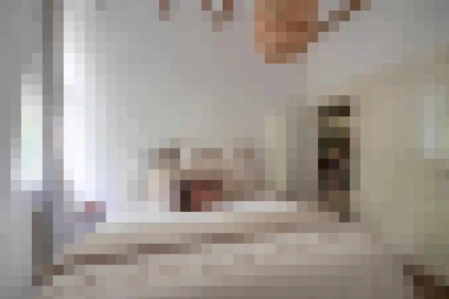 Pelmolenweg 4 Utrecht thumbnail 31