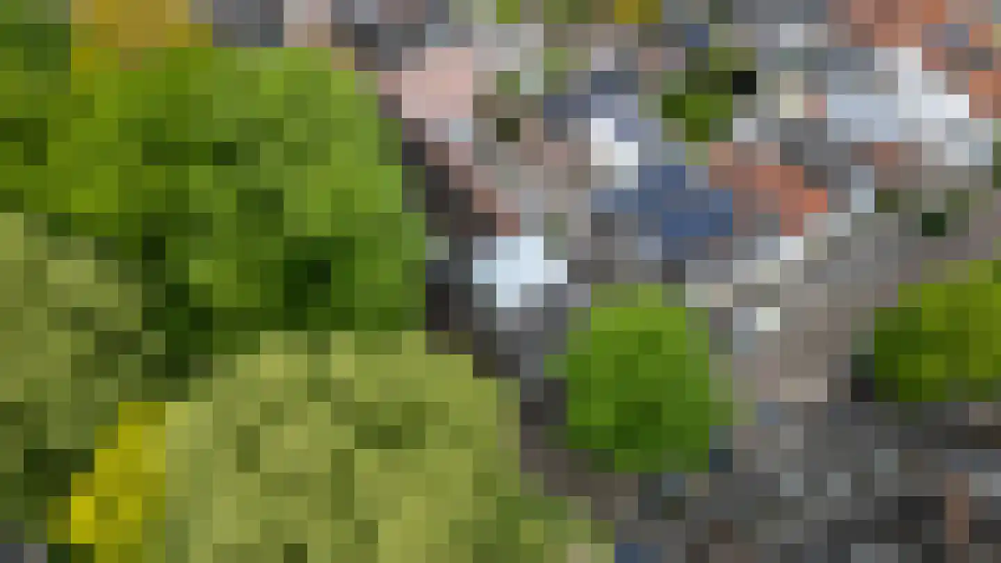 Pelmolenweg 4 Utrecht thumbnail 47