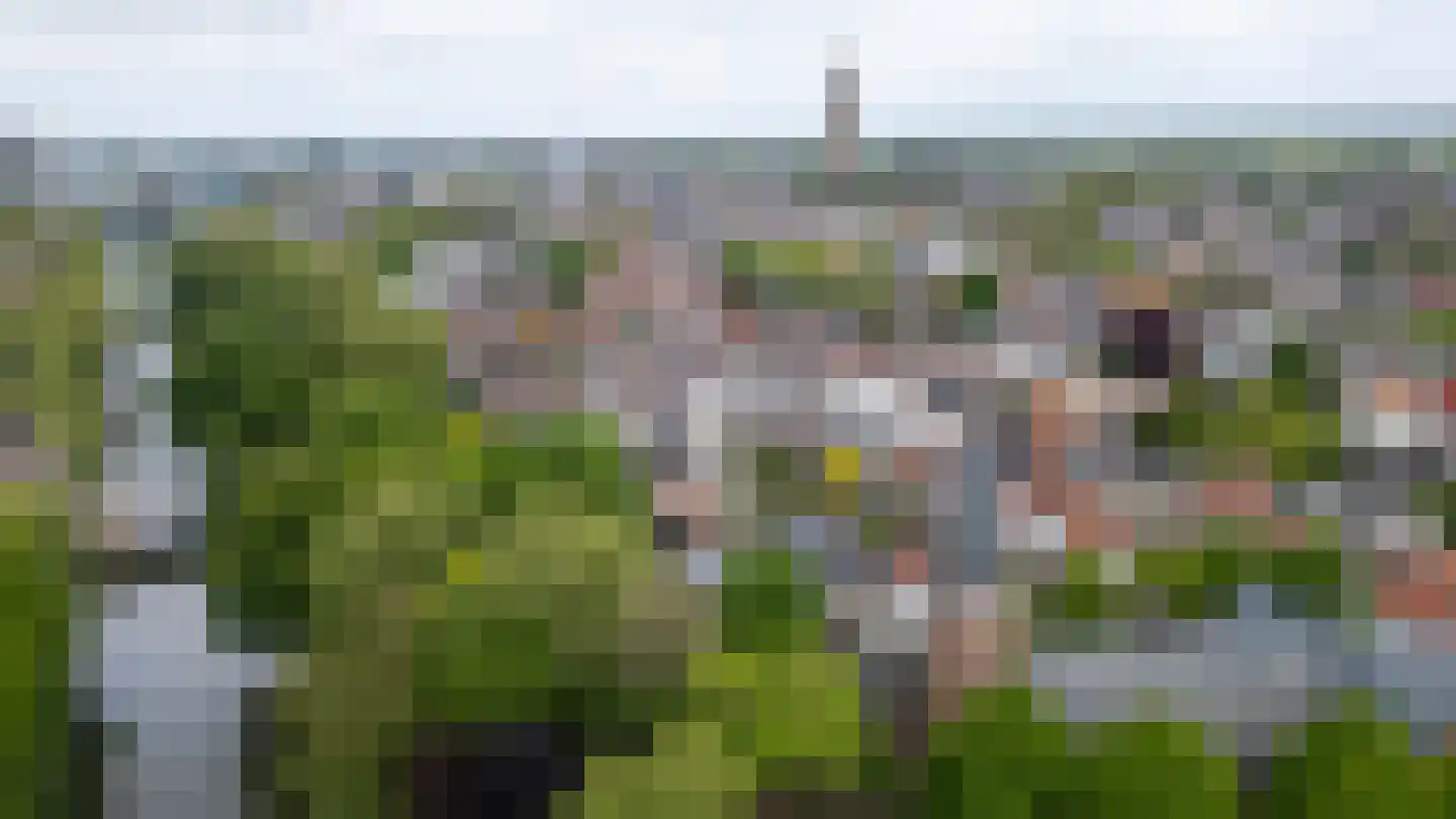 Pelmolenweg 4 Utrecht thumbnail 48